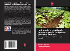 Incidência e gestão do mosaico grave da batata causado pelo PVY的封面