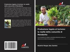 Bookcover of Produzione legata al turismo: la realtà della comunità di Mendanha