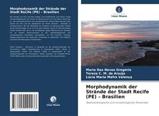 Morphodynamik der Strände der Stadt Recife (PE) – Brasilien的封面