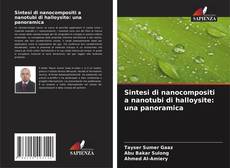 Couverture de Sintesi di nanocompositi a nanotubi di halloysite: una panoramica