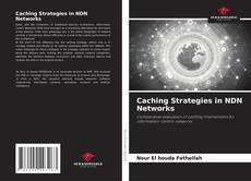 Caching Strategies in NDN Networks kitap kapağı