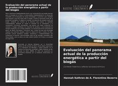 Обложка Evaluación del panorama actual de la producción energética a partir del biogás