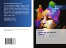 Portada del libro de Examining the Place of "Meaning"