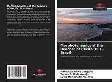 Bookcover of Morphodynamics of the Beaches of Recife (PE) - Brazil