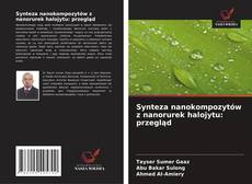 Couverture de Synteza nanokompozytów z nanorurek halojytu: przegląd