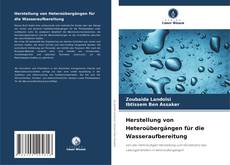 Buchcover von Herstellung von Heteroübergängen für die Wasseraufbereitung
