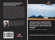 Copertina di Valutazione dell'attuale quadro della produzione energetica derivante dal biogas
