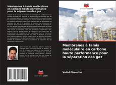 Borítókép a  Membranes à tamis moléculaire en carbone haute performance pour la séparation des gaz - hoz