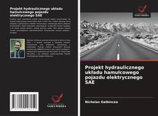 Buchcover von Projekt hydraulicznego układu hamulcowego pojazdu elektrycznego SAE