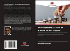 Обложка Amortissement accéléré et atténuation des risques
