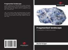 Bookcover of Fragmented landscape