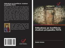 Copertina di Odbudowa po konflikcie: studium przypadku FATA