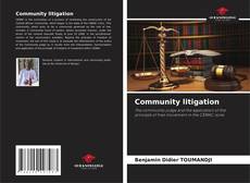Bookcover of Community litigation