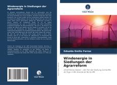 Windenergie in Siedlungen der Agrarreform的封面