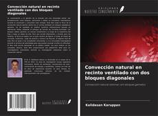 Bookcover of Convección natural en recinto ventilado con dos bloques diagonales