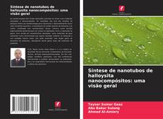 Bookcover of Síntese de nanotubos de halloysita nanocompósitos: uma visão geral