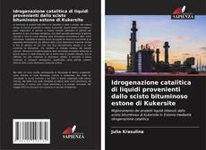 Couverture de Idrogenazione catalitica di liquidi provenienti dallo scisto bituminoso estone di Kukersite