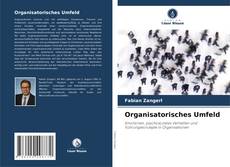 Capa do livro de Organisatorisches Umfeld 