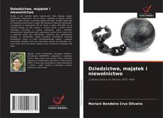 Dziedzictwo, majątek i niewolnictwo的封面