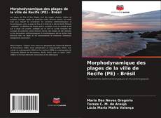 Capa do livro de Morphodynamique des plages de la ville de Recife (PE) - Brésil 