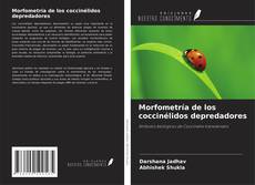 Copertina di Morfometría de los coccinélidos depredadores