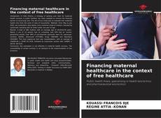 Buchcover von Financing maternal healthcare in the context of free healthcare