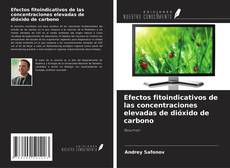 Buchcover von Efectos fitoindicativos de las concentraciones elevadas de dióxido de carbono