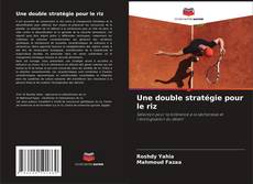 Une double stratégie pour le riz的封面