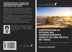 Buchcover von CONTRIBUCIÓN AL ESTUDIO DEL COMPORTAMIENTO HÍDRICO DE UNA MEZCLA DE TOBAS