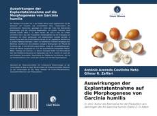 Borítókép a  Auswirkungen der Explantatentnahme auf die Morphogenese von Garcinia humilis - hoz