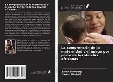 La comprensión de la maternidad y el apego por parte de las abuelas africanas kitap kapağı