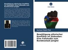 Buchcover von Bewältigung ethnischer Konflikte im Südsudan: Eine Fallstudie zum Bundesstaat Jonglei