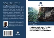 Copertina di Paläoumwelt des Tertiärs im nördlichen Teil des senegalesischen Beckens