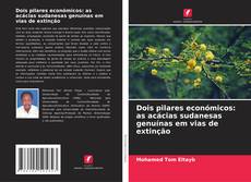 Borítókép a  Dois pilares económicos: as acácias sudanesas genuínas em vias de extinção - hoz