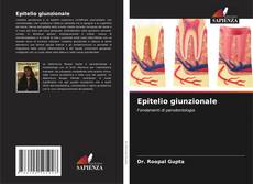 Обложка Epitelio giunzionale