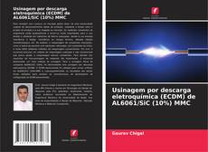 Copertina di Usinagem por descarga eletroquímica (ECDM) de AL6061/SiC (10%) MMC