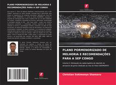 Buchcover von PLANO PORMENORIZADO DE MELHORIA E RECOMENDAÇÕES PARA A SEP CONGO