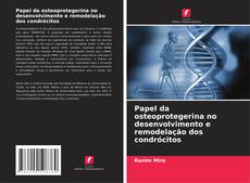 Borítókép a  Papel da osteoprotegerina no desenvolvimento e remodelação dos condrócitos - hoz