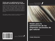 Couverture de Visión para la optimización de las empresas nacionales de gas natural