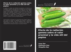 Bookcover of Efecto de la radiación gamma sobre el valor proximal y la vida útil del pepino