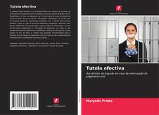 Capa do livro de Tutela efectiva 