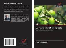 Uprawa oliwek w Egipcie的封面