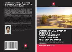 Обложка CONTRIBUIÇÃO PARA O ESTUDO DO COMPORTAMENTO HÍDRICO DE UMA MISTURA DE TUFOS