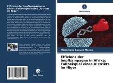 Couverture de Effizienz der Impfkampagne in Afrika: Fallbeispiel eines Distrikts im Niger