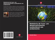 Copertina di Hotelaria de luxo: um desenvolvimento sustentável em andamento