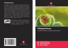 Borítókép a  Fitoquímicos - hoz