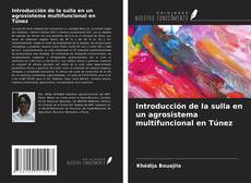 Copertina di Introducción de la sulla en un agrosistema multifuncional en Túnez