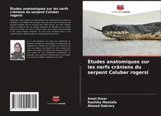 Couverture de Études anatomiques sur les nerfs crâniens du serpent Coluber rogersi