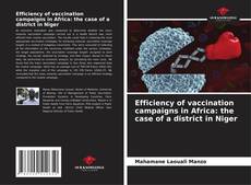 Borítókép a  Efficiency of vaccination campaigns in Africa: the case of a district in Niger - hoz