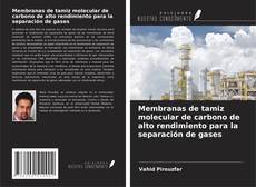 Copertina di Membranas de tamiz molecular de carbono de alto rendimiento para la separación de gases